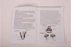 Disney Frozen 2 Piger Cykelhjelm - Skatehjelm - 52-56 Cm 24 Disney Frozen 2 Piger Cykelhjelm - Skatehjelm - 52-56 Cm -Cykler Salgsbutik hand2 d3nv 8q